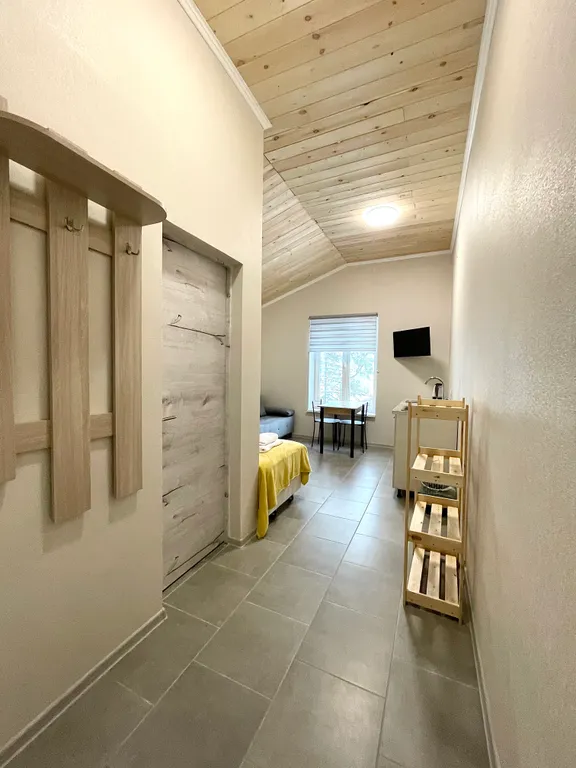 Апартамент однокомнатный на троих