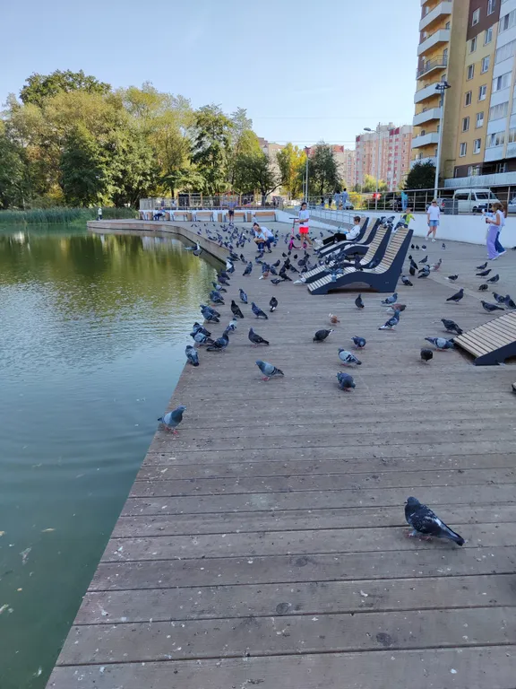 Квартира Уютная, светлая квартира — Калининград