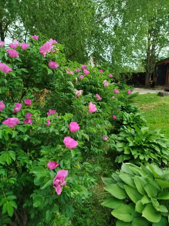 Дом с панорамным окном