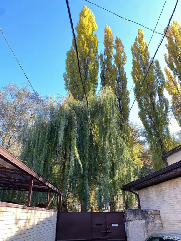 Домик у речки