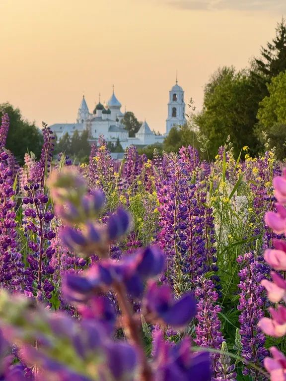 Просторная квартира в развитом районе