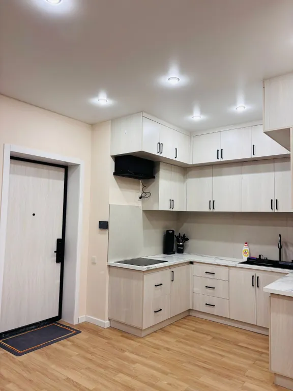 Просторные апартаменты в центре