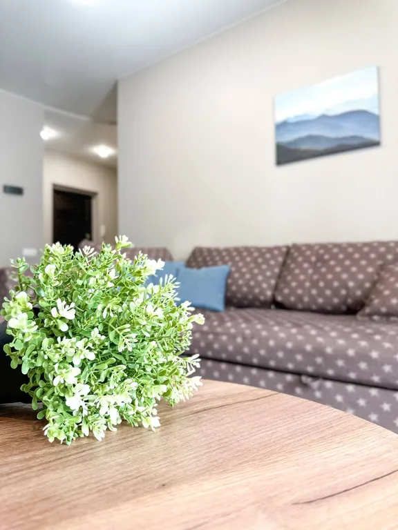 Просторная квартира на Советской — аренда посуточно в Иркутск