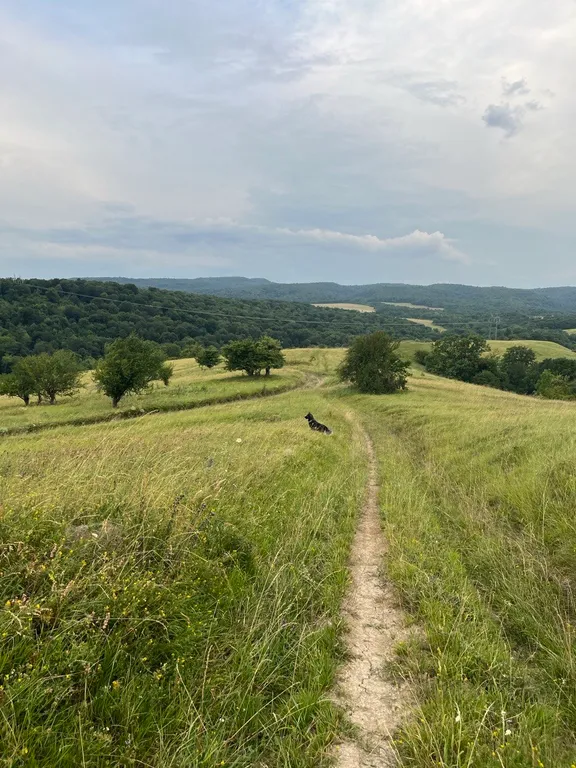 Дизайнерский дом