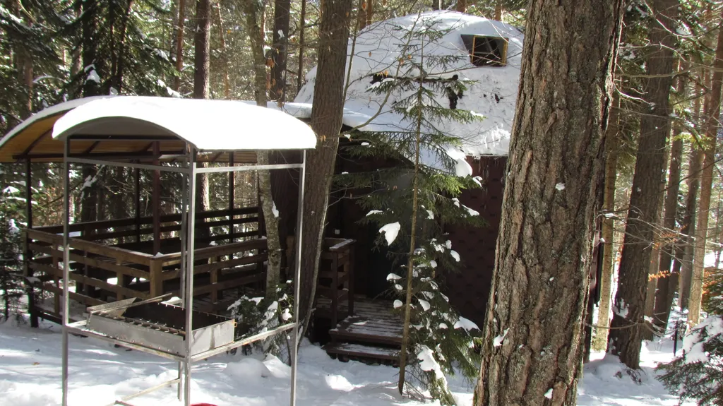 Коттедж Купольный дом в заповедном лесу — Архыз