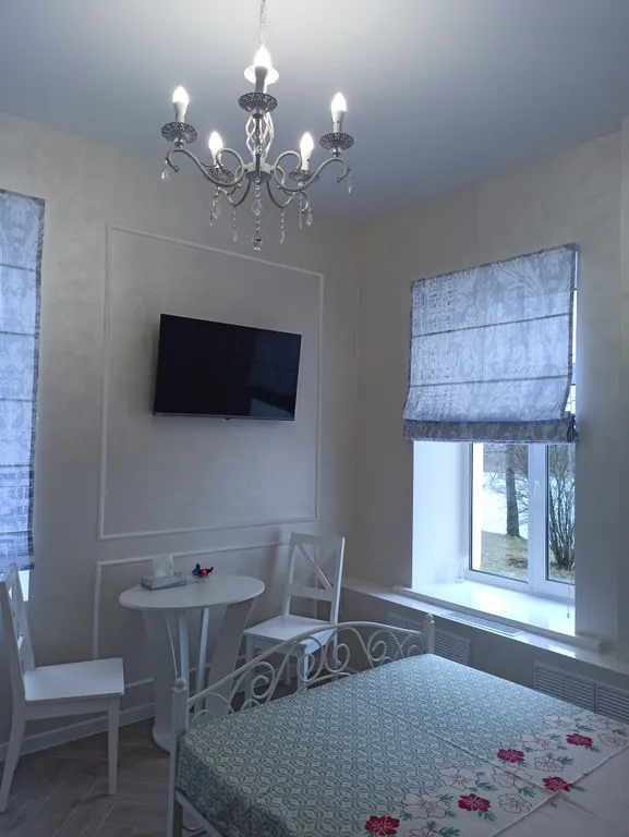 Студия в классическом стиле с видом на реку