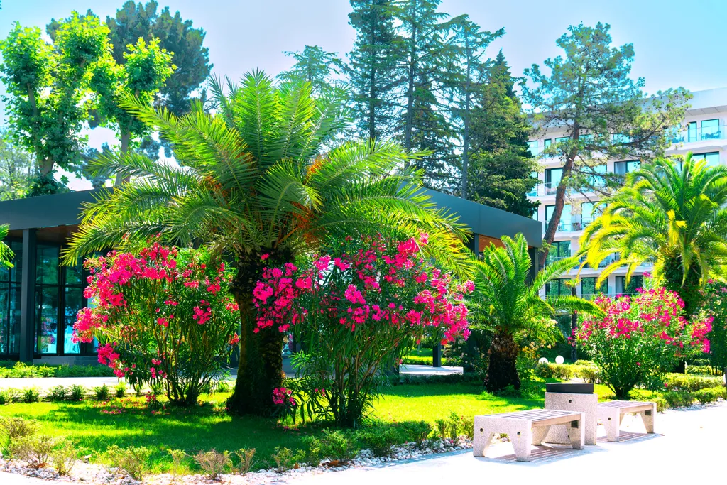 Лазурные апартаменты на берегу моря в отеле Лучезарный Резорт 4