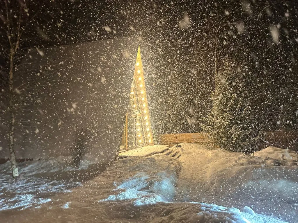 Афрейм дача у леса