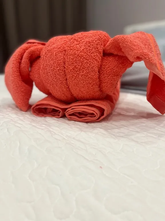 Апартаменты Олимп