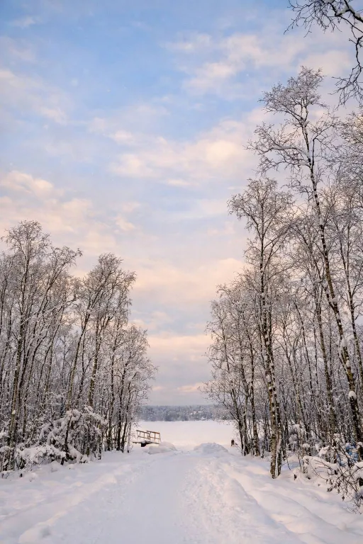 Коттедж ОзероуДомаМичуринское/Lakehouse Michurinskoe — Кучерово