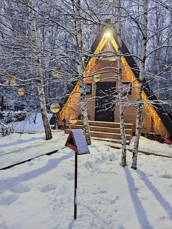 Красивые панорамные домики около леса