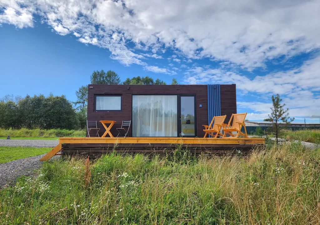 Дом с березками