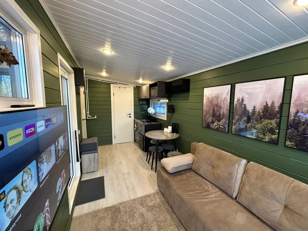 Дом Скандинавия Лес