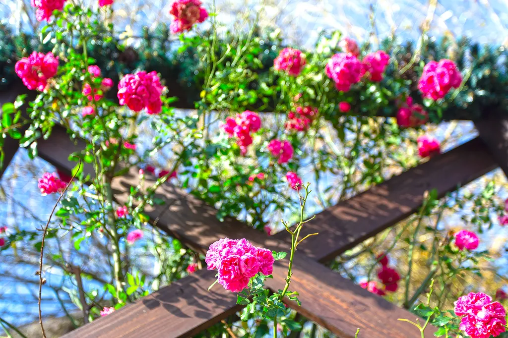 Коттедж Домик в горах — Адлер