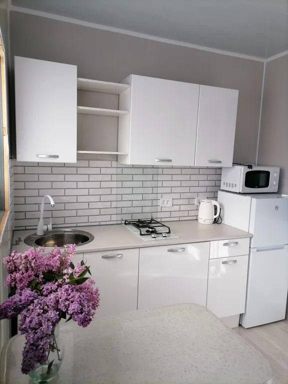 Комфортабельный новый дом со своей территорией