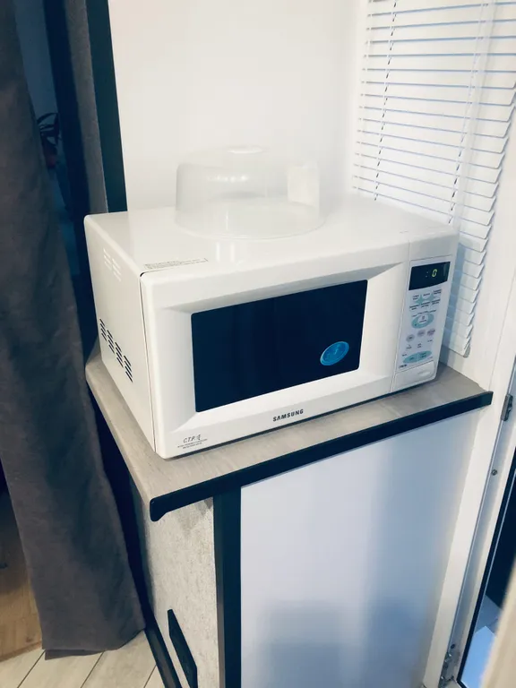 Отличная квартира-студия серый кот