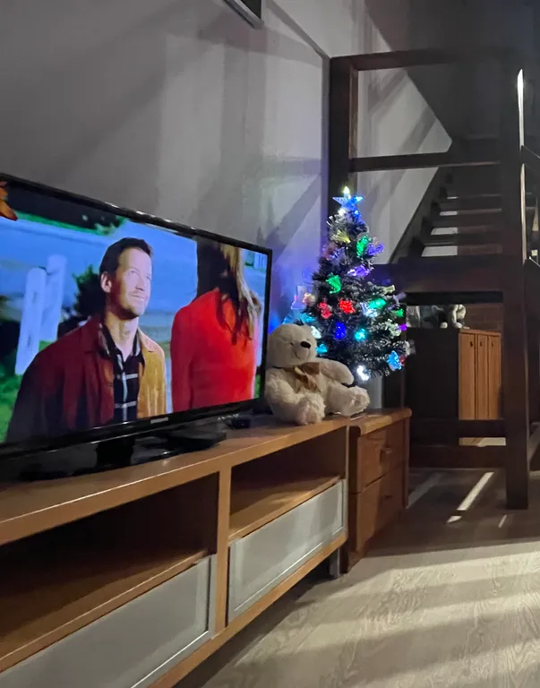 Апартамент двухуровневый Качелька