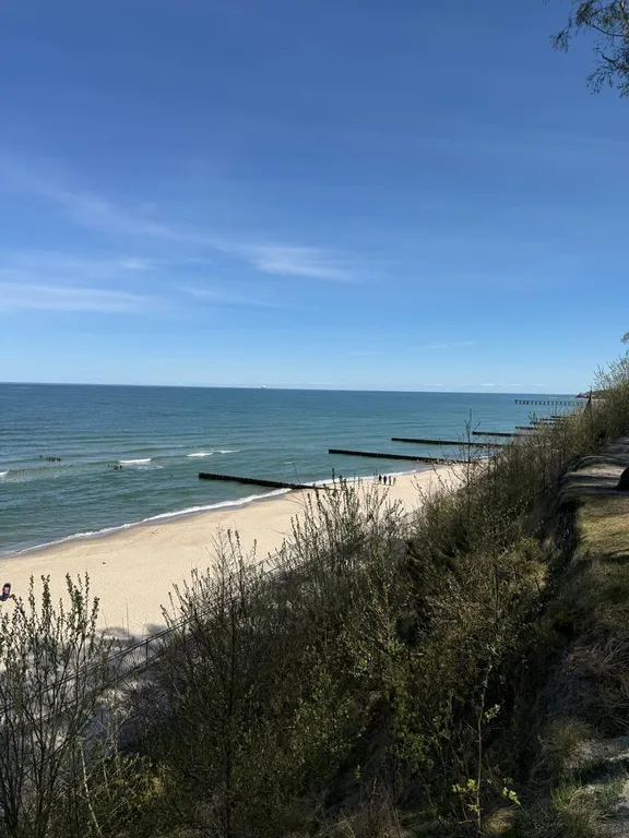 Квартира Уютная квартира с видом на море — Пионерский