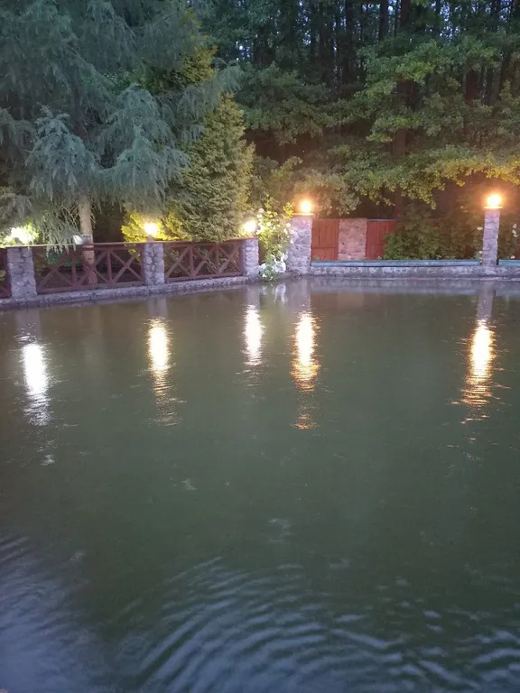 Уютный домик с баней, камином и террасой возле пруда