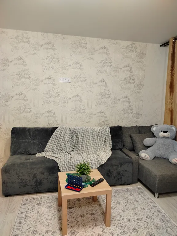 Просторная квартира 2+