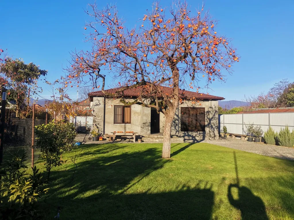 Коттедж Дом под ключ с зелёной лужайкой и плодовыми насаждениями — аренда посуточно в Сухум