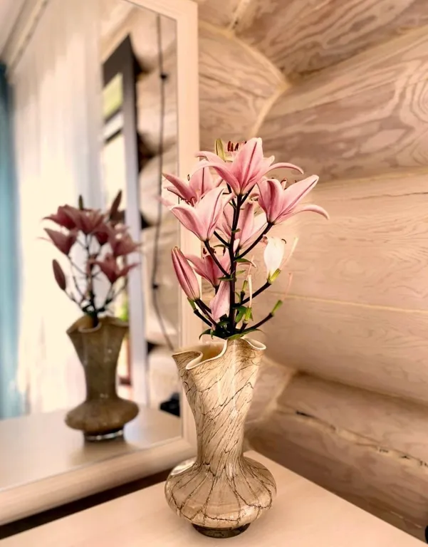 Эко дом на первой линии озера Тургояк