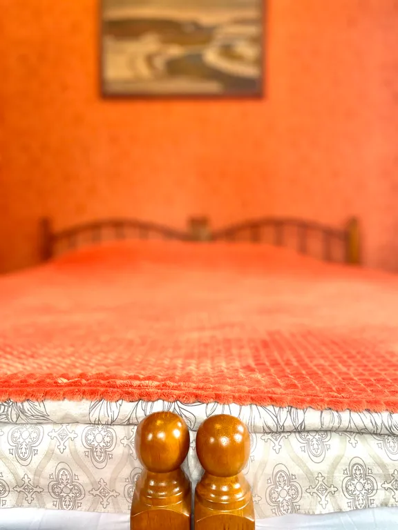 Уютная трехкомнатная квартира в центре города