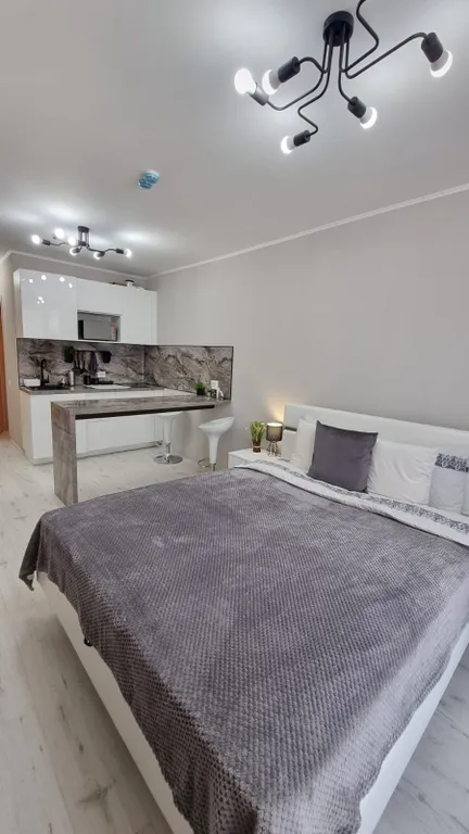 Студия у метро Парнас