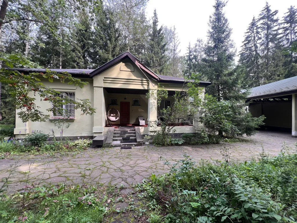 Усадьба в хвойном лесу