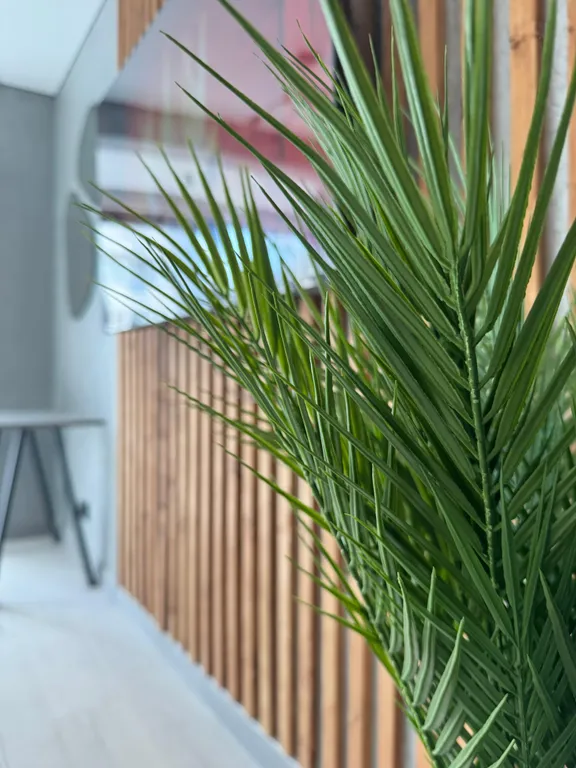 Студия в стиле Loft