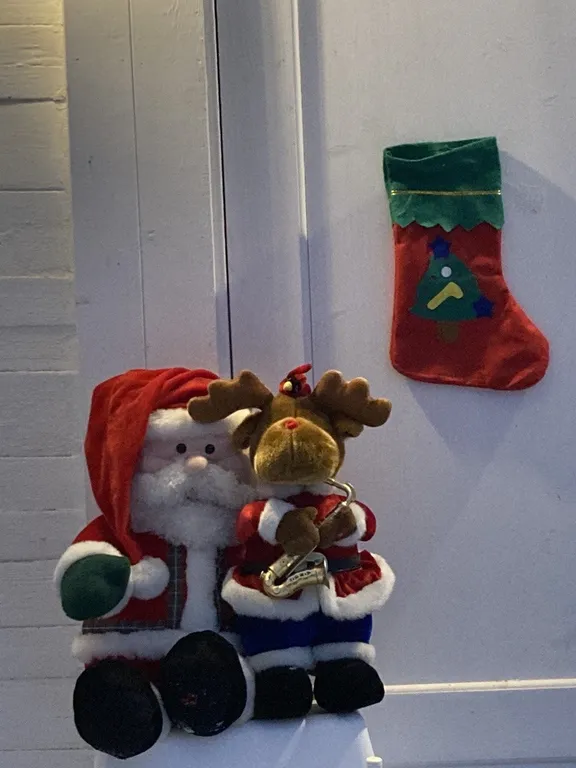 Большой светлый гостевой дом 230кв/м 50 соток участок