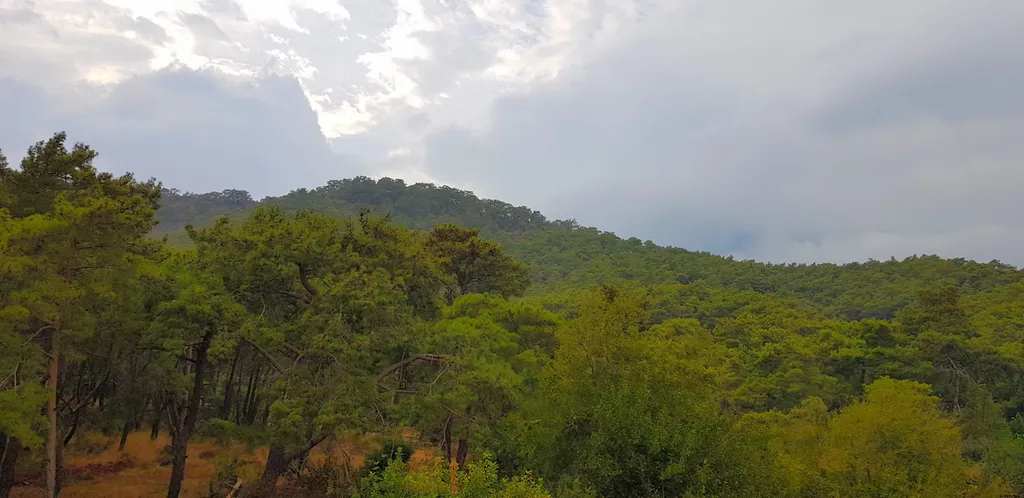 Уютная квартира в райском месте