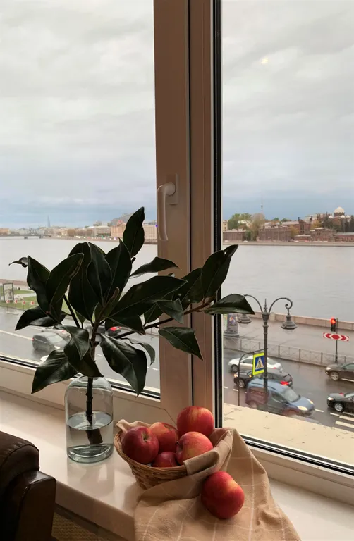 Квартира Квартира Апартамент с шикарным видом на Неву — Санкт-Петербург