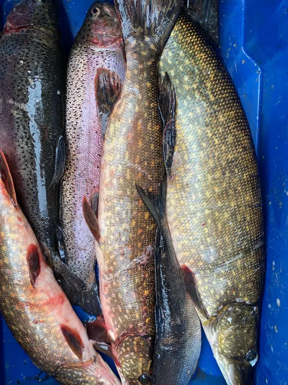 Уютный дом на берегу озера