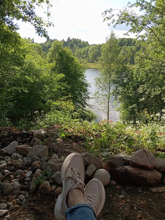 Деревянный дом, на берегу меличуярви, на краю леса в карельском селе