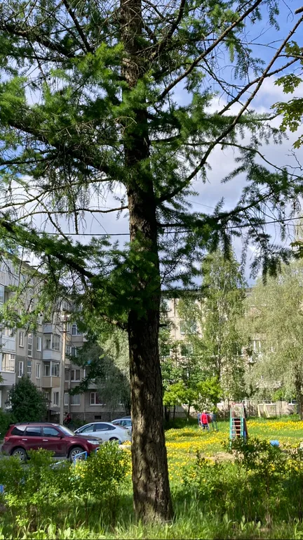 Квартира с видом на Рускеальский Экспресс и ранним заселением