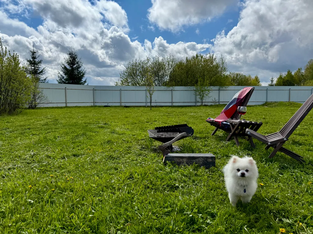 Petrushkа Просторы