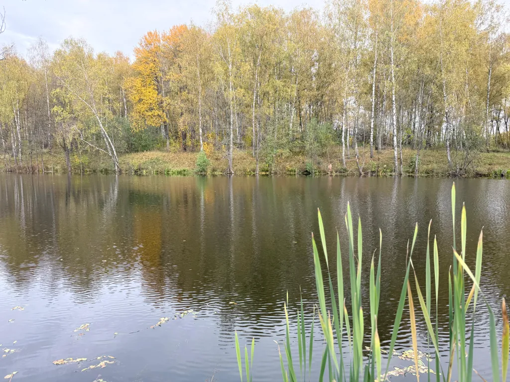 Уютный дом с панорамными окнами рядом с озером