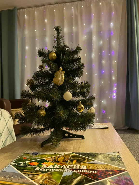 Студия в центре города