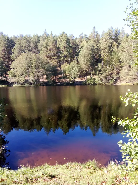 Гостевой домик