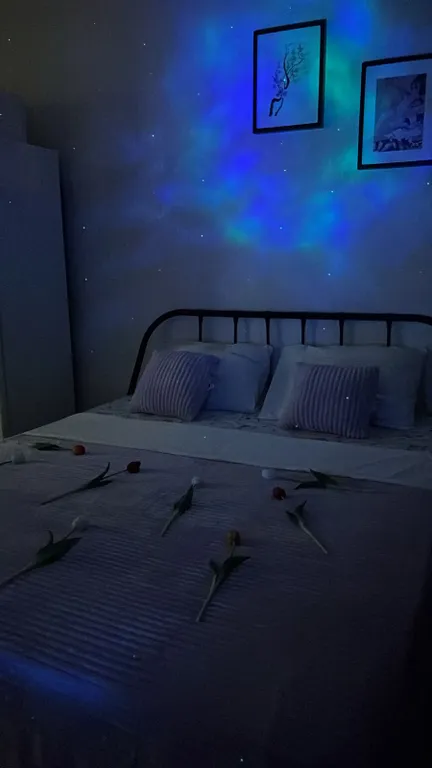 Студия Академ