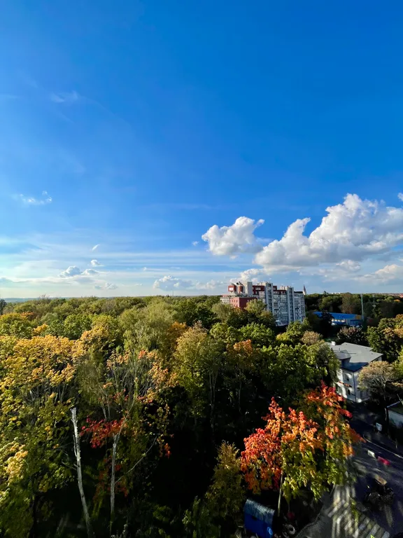 Квартира Апартаменты Централ Парк — Калининград