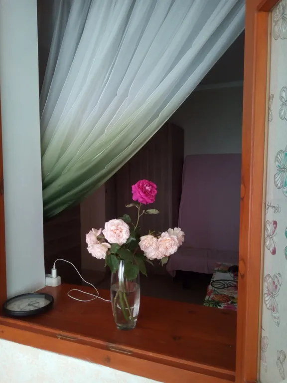 Дом в центре