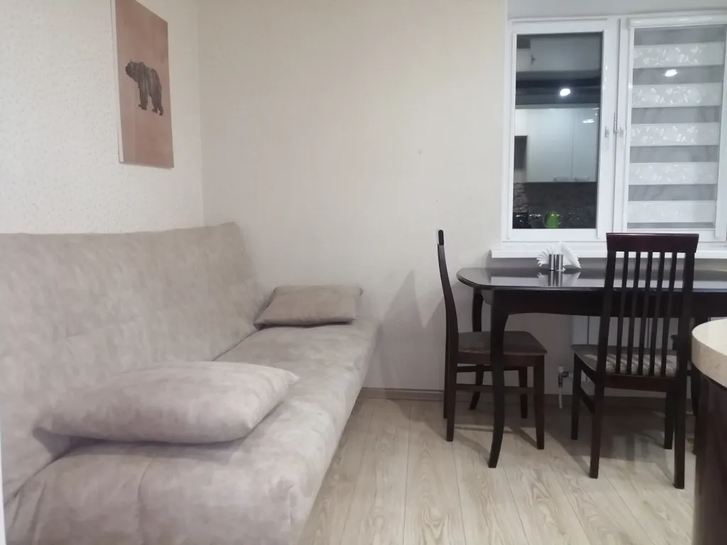 Просторная 1-комнатная с кондиционером возле Ленты