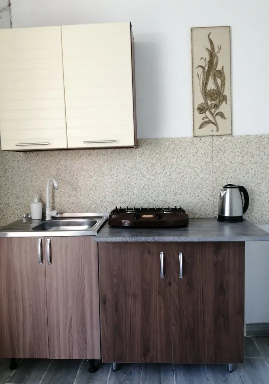 Комната на 2-3 человека с удобствами и кухней