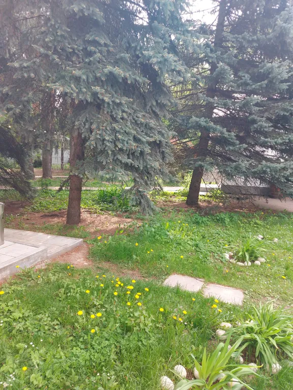 Загородный дом для праздника