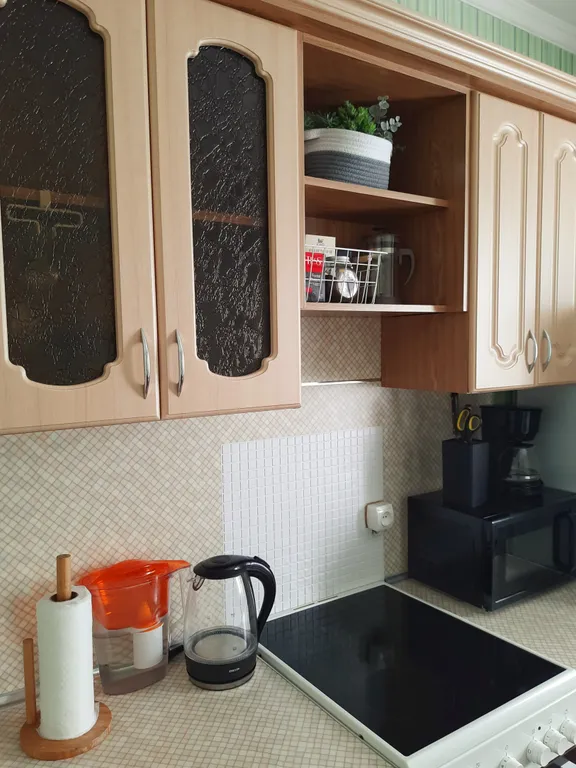 Рыжий Кот возле Парка