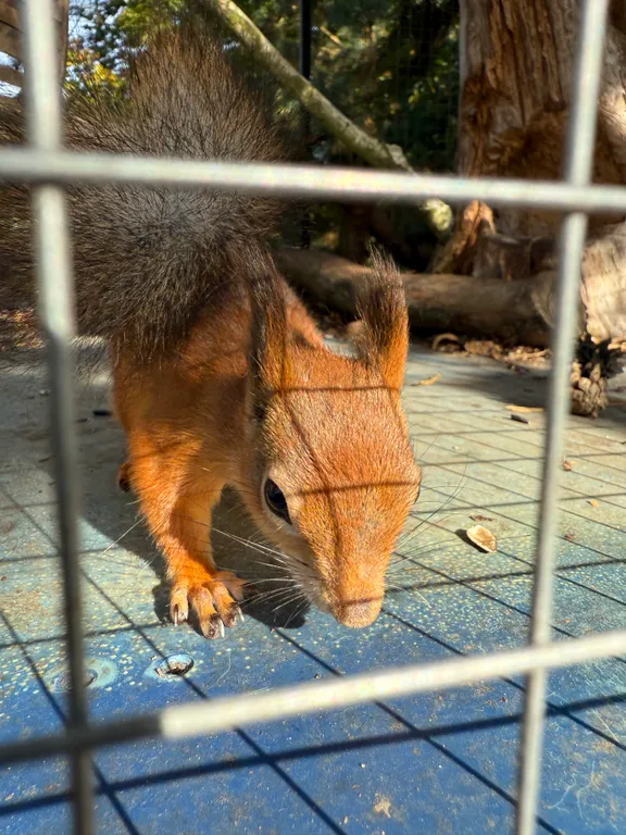 Коттедж Уютный дом на базе отдыха у воды Бабин двор — Васюково