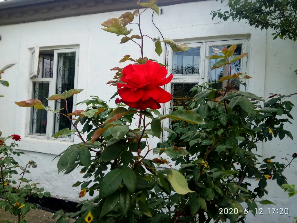 Комната с видом на осенний двор и сад