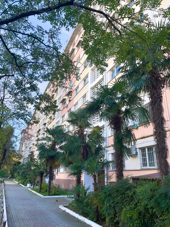 Квартира 1-комнатная Квартира — Сочи